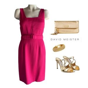 DAVID MEISTER PINK BELTED STRAIGHT SHEATH DRESS SZ 6